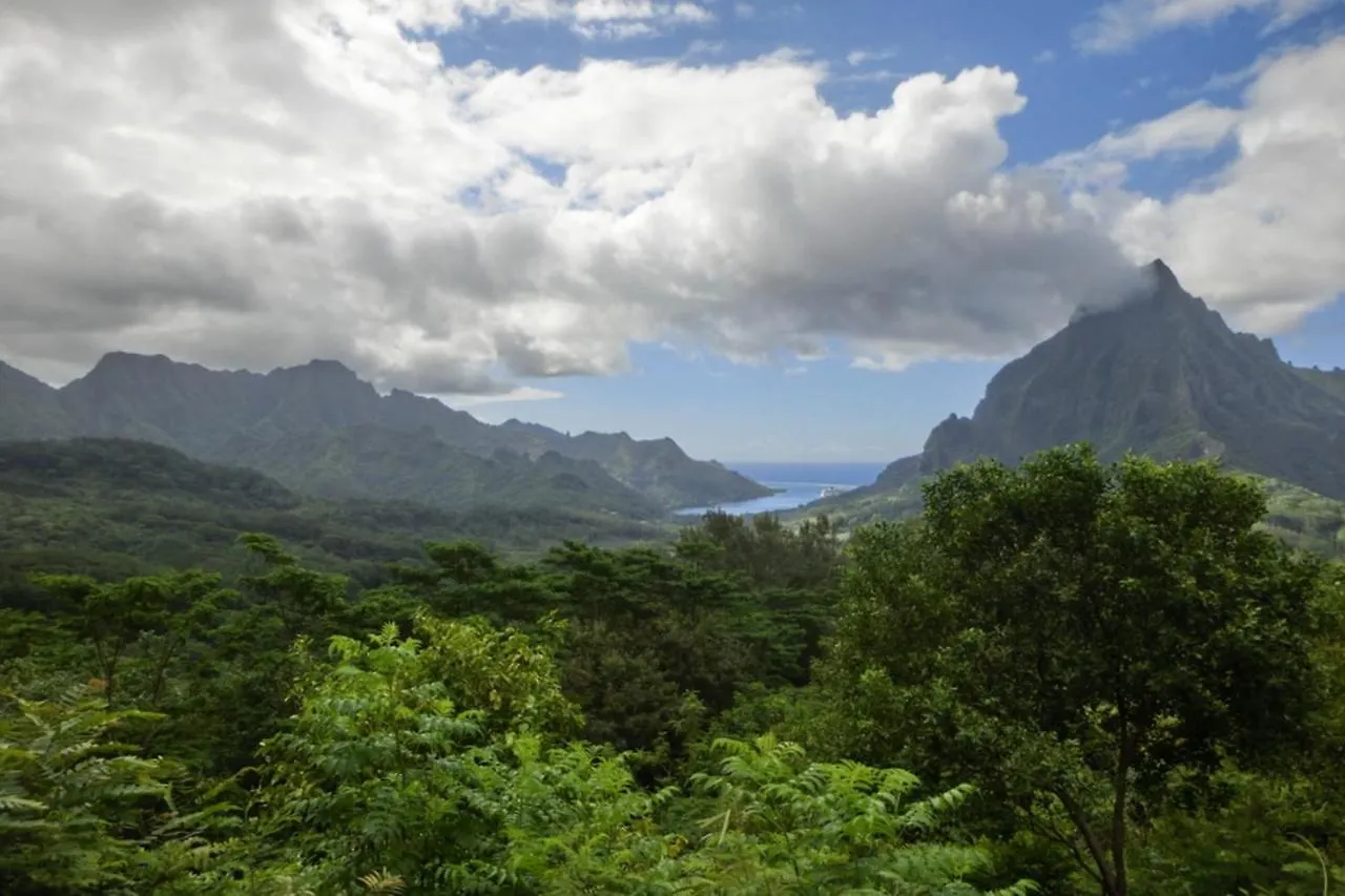 شقة Auti Studio Direct Access To The Beach On Moorea With Ac -Wifi - Netflix آبيتي