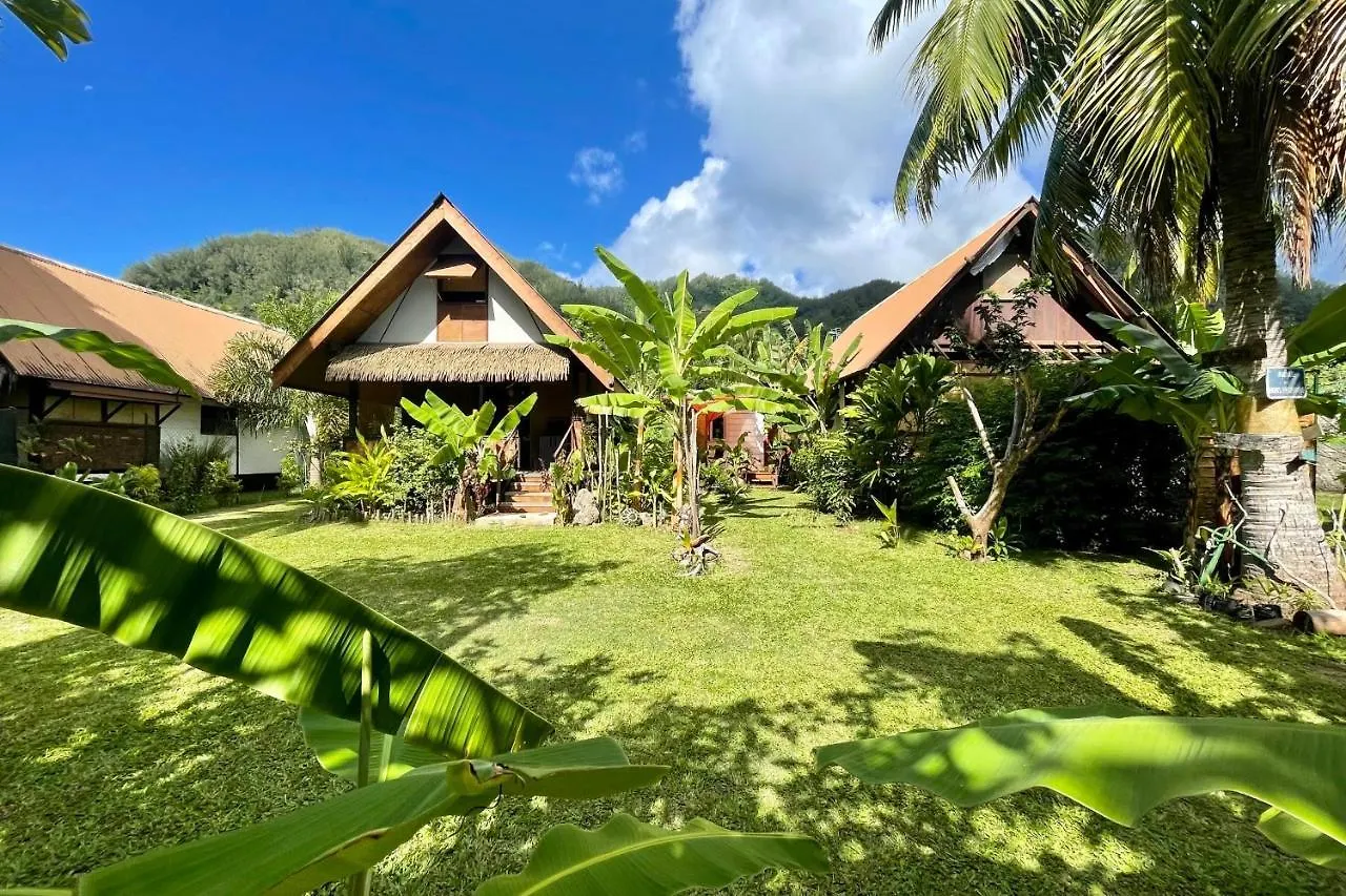شقة Auti Studio Direct Access To The Beach On Moorea With Ac -Wifi - Netflix آبيتي
